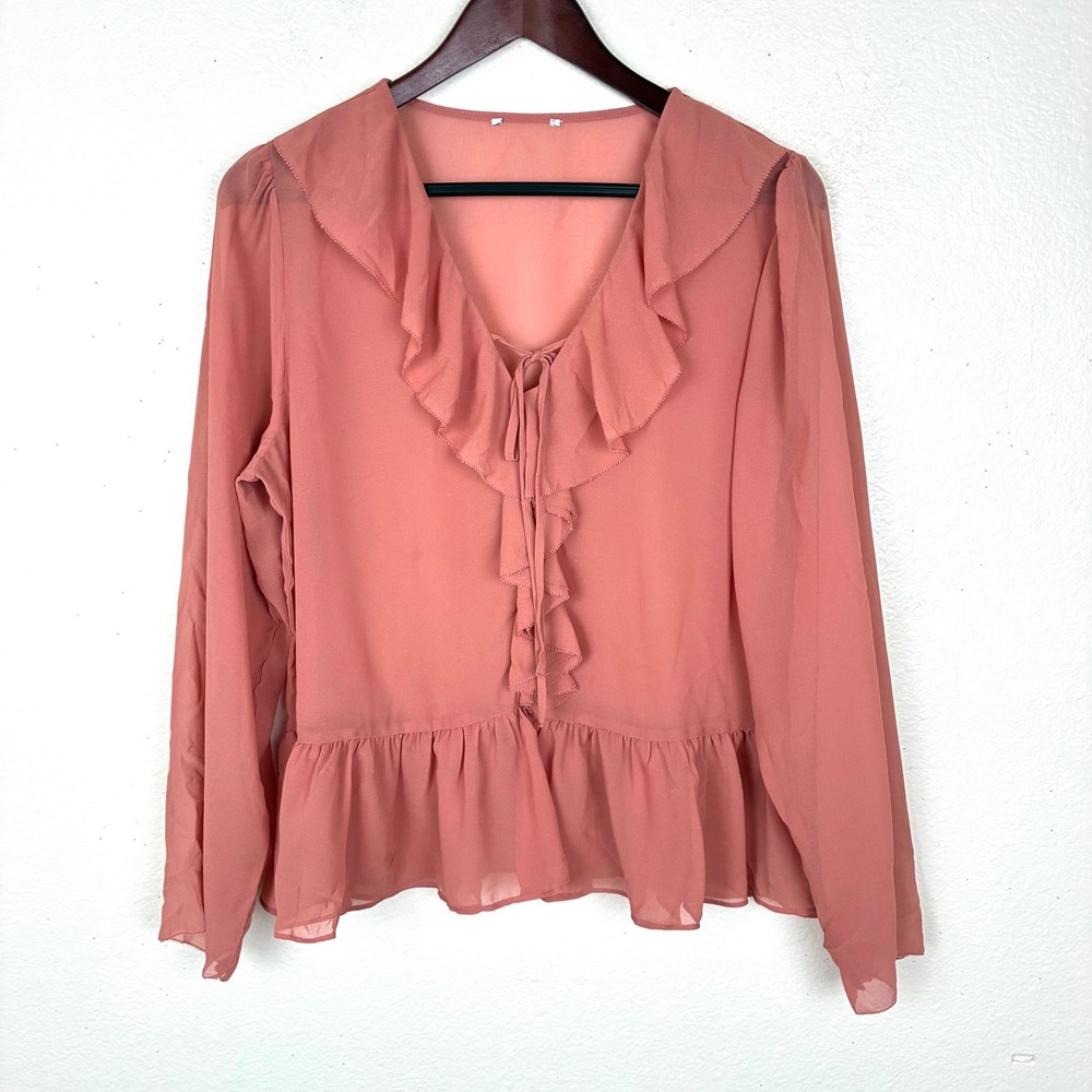 Womens Top Sz M Ruffle Front Sheer Romantic Long Sleeve Boho Cottage Poet Flowy